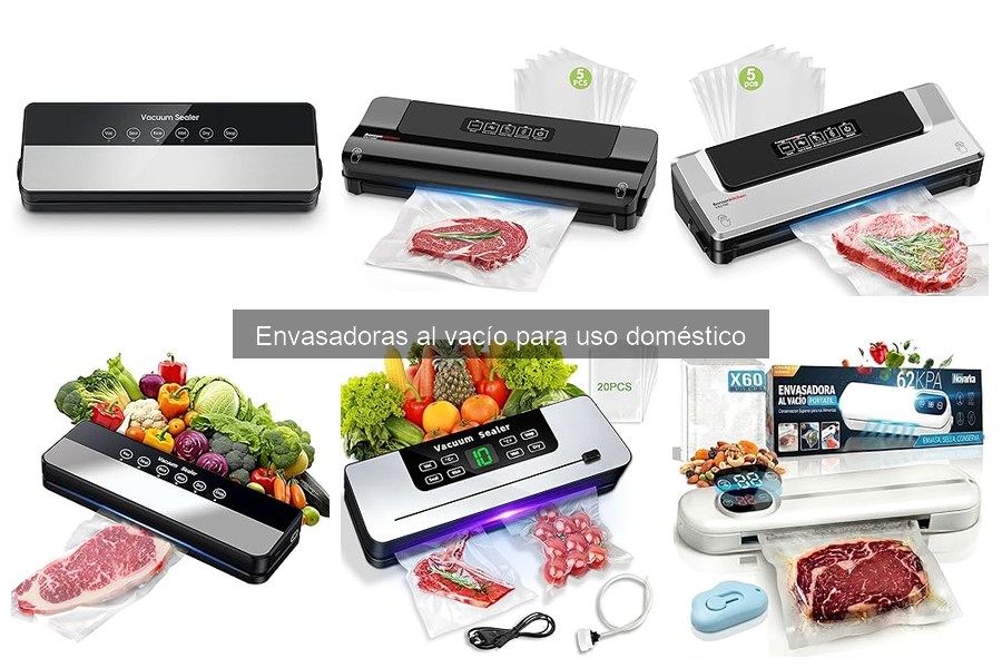 Alternativas a la Envasadora al Vacío para Conservar Alimentos