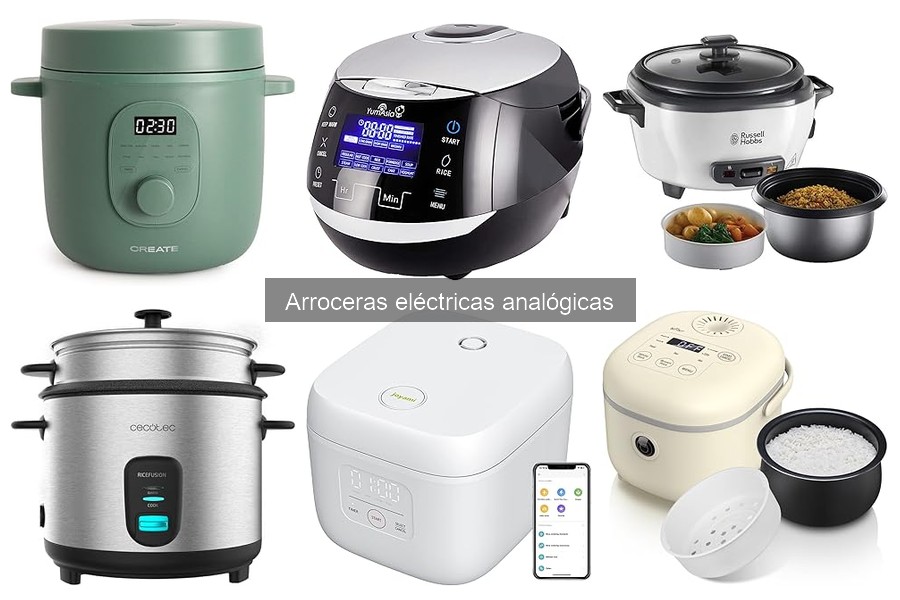 Alternativas a las Arroceras Eléctricas Analógicas
