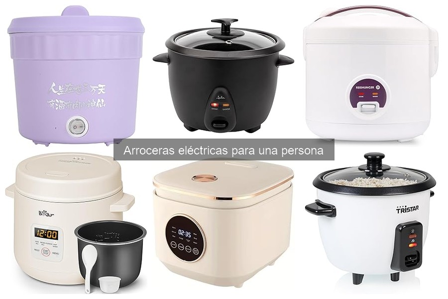 Arrocera eléctrica para una persona: características y ventajas