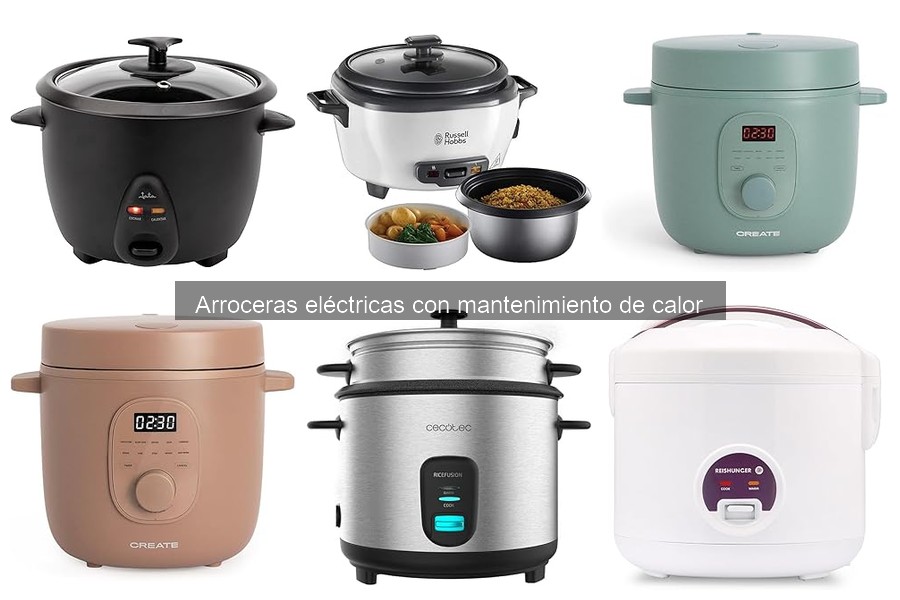 Arroceras eléctricas con mantenimiento de calor: características y más