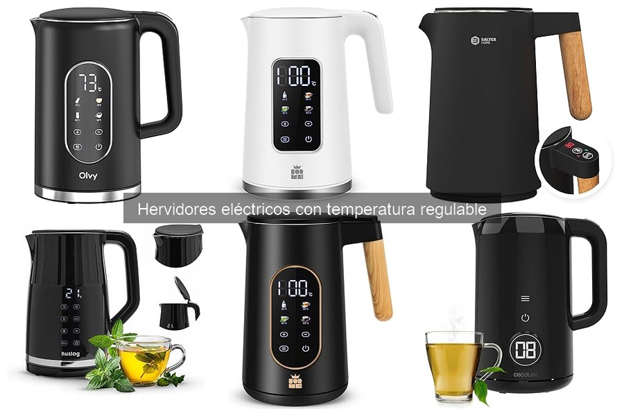 Cómo elegir un hervidor eléctrico con temperatura regulable