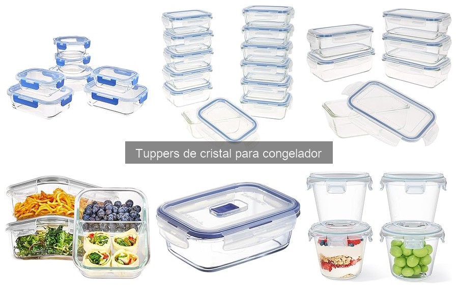 Comparativa Tuppers de Cristal vs Plástico para Congelador