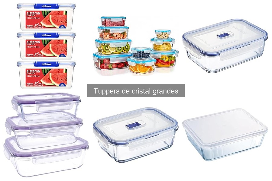 Dónde comprar tuppers de cristal grandes al mejor precio