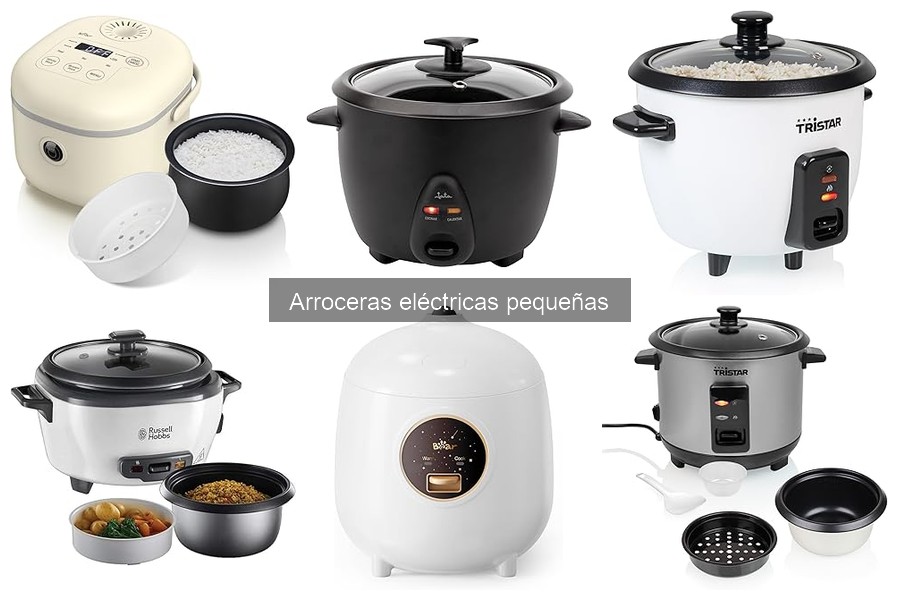 Guía de compra de arroceras eléctricas pequeñas