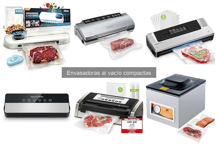 Guía de compra: ¿Qué considerar al elegir una envasadora al vacío?