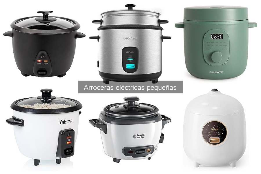 Mantenimiento de Arroceras Eléctricas Pequeñas: Mejores Prácticas