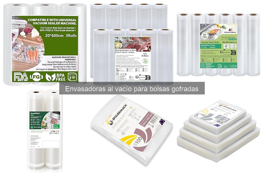Mantenimiento de Envasadoras al Vacío para Bolsas Gofradas