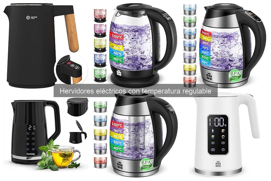 Mejores hervidores eléctricos con temperatura regulable para té