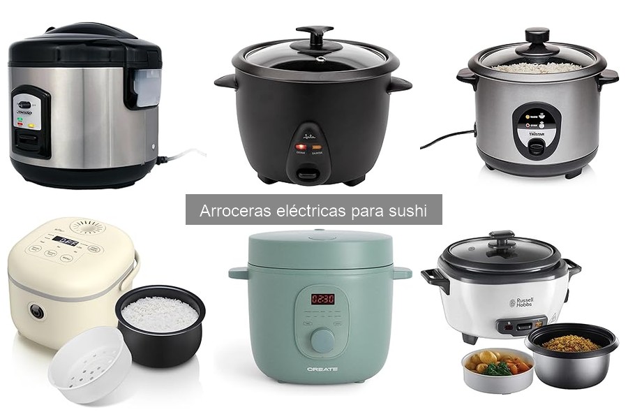 Problemas comunes con arroceras eléctricas para sushi