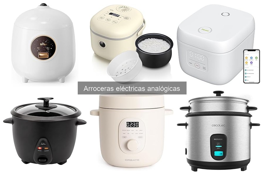 Problemas comunes de las arroceras eléctricas analógicas