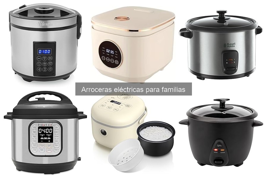 ¿Puede una arrocera eléctrica hacer más que arroz?