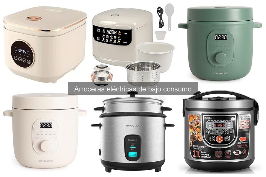 Qué arroz cocinar en una arrocera eléctrica: guía completa