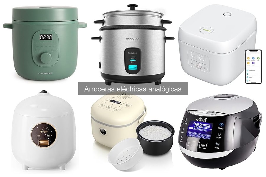Qué arroz usar en una arrocera eléctrica analógica